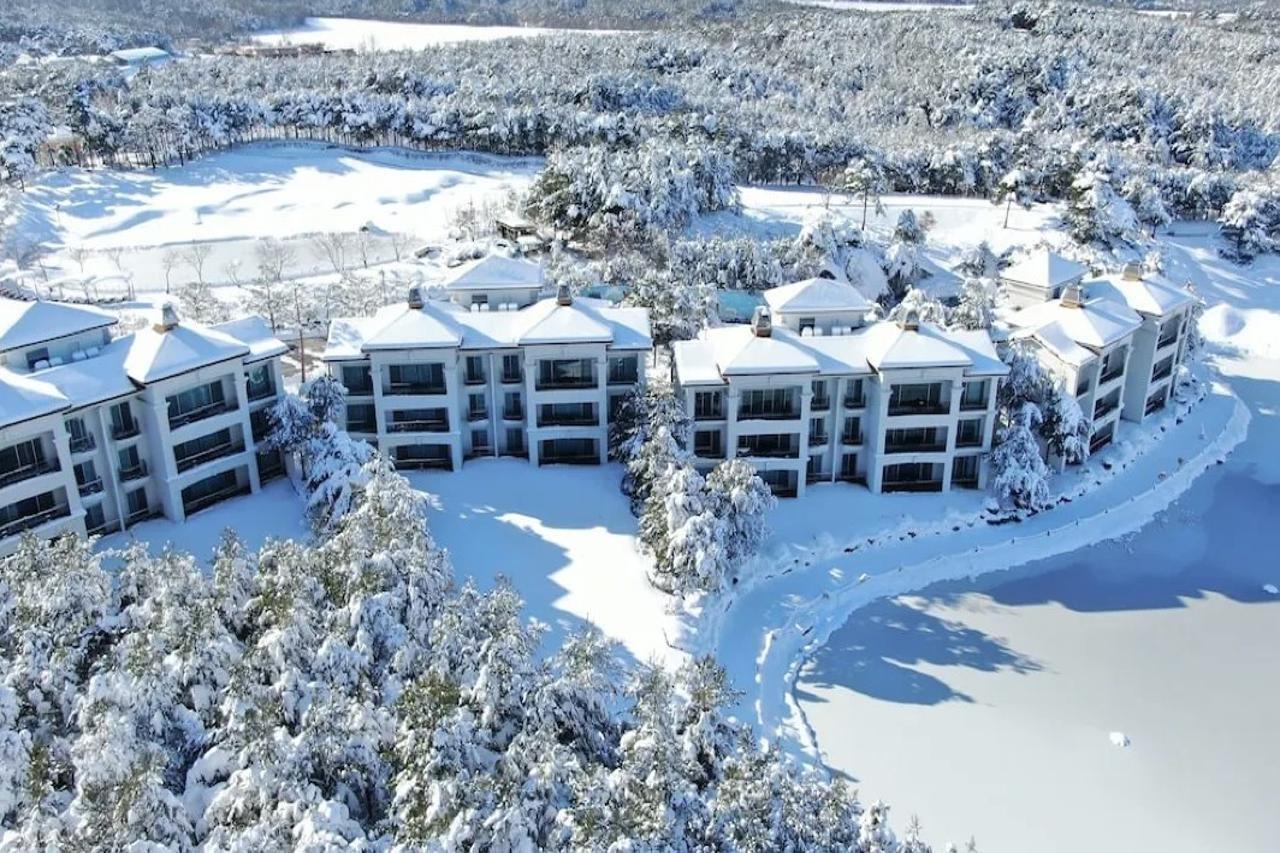 Pineridge Hotel Sokcho Eksteriør billede