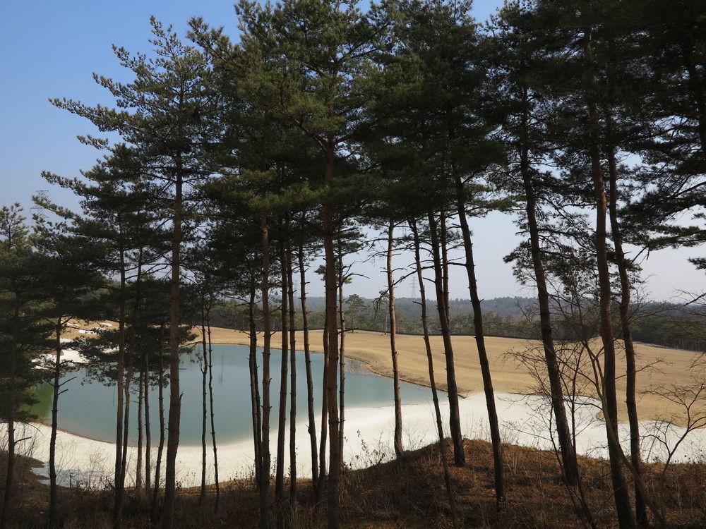 Pineridge Hotel Sokcho Eksteriør billede